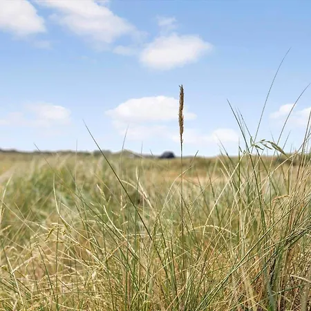 Bl1591-pandrup-ferborgvej-54 Casa de Férias